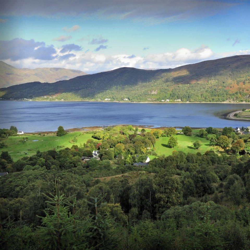 五一游游直播号