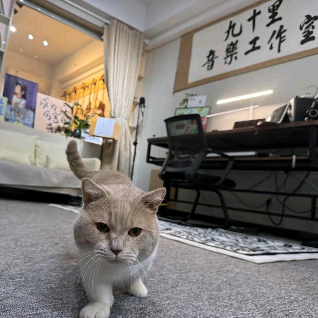 九十里音乐俱乐部