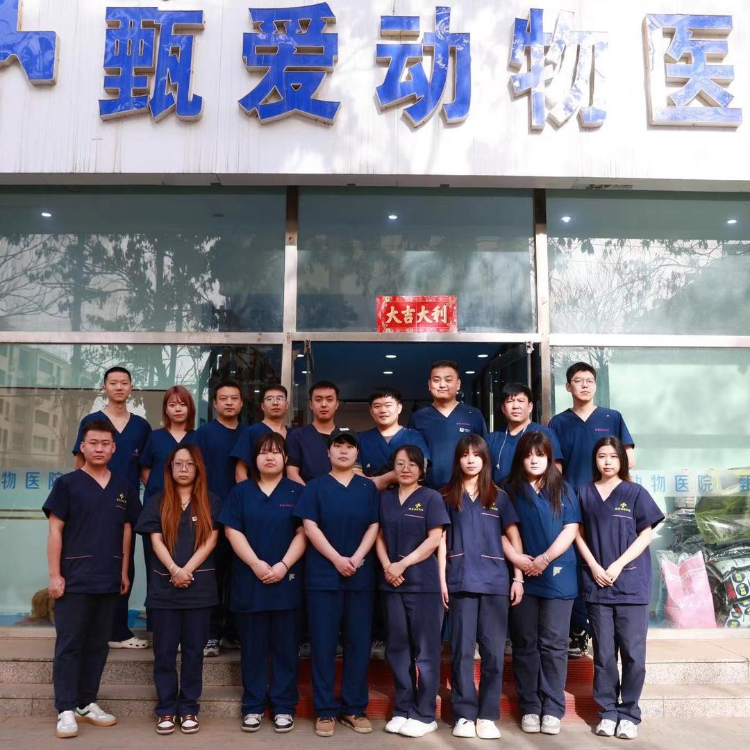 内蒙古甄爱动物医院（呼包鄂18家连锁）
