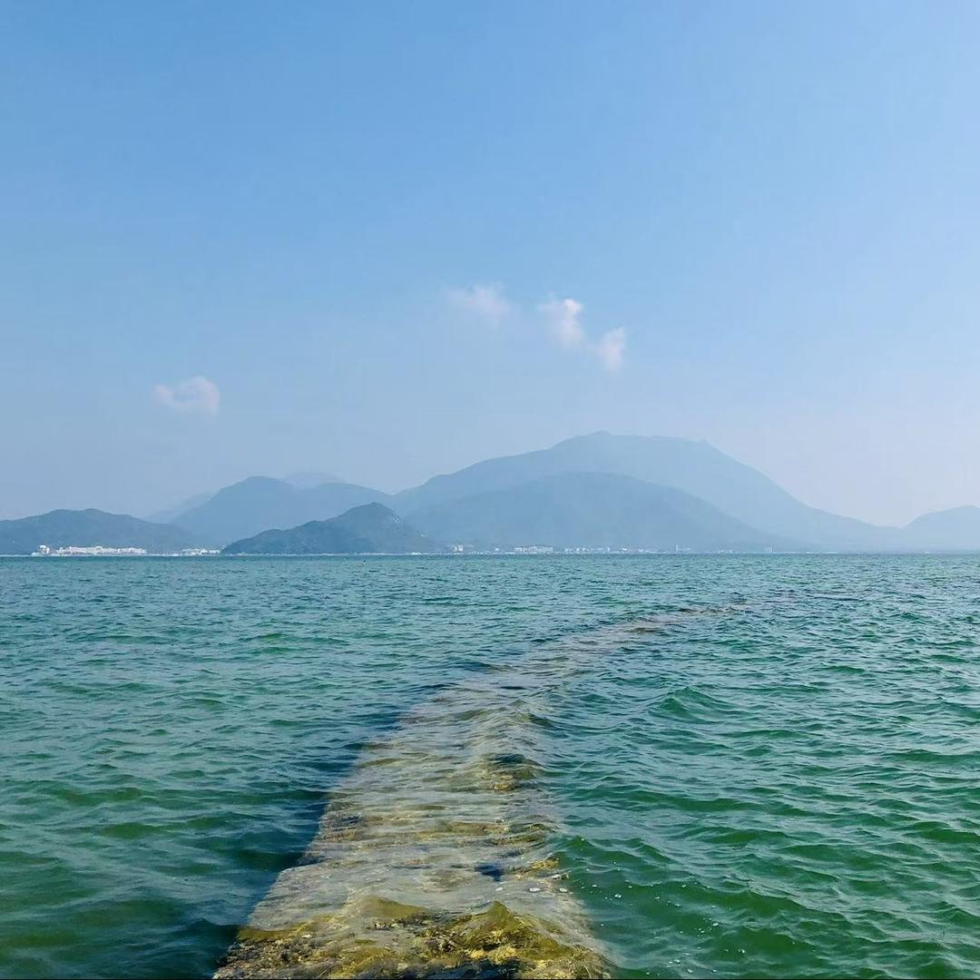 绿春汤羲峙齐直播号