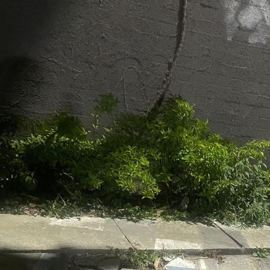 小米之家(长沙杜鹃万达广场店)长沙依瑞增贸易有限公司营销号