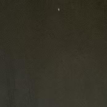 手下留情3直播号