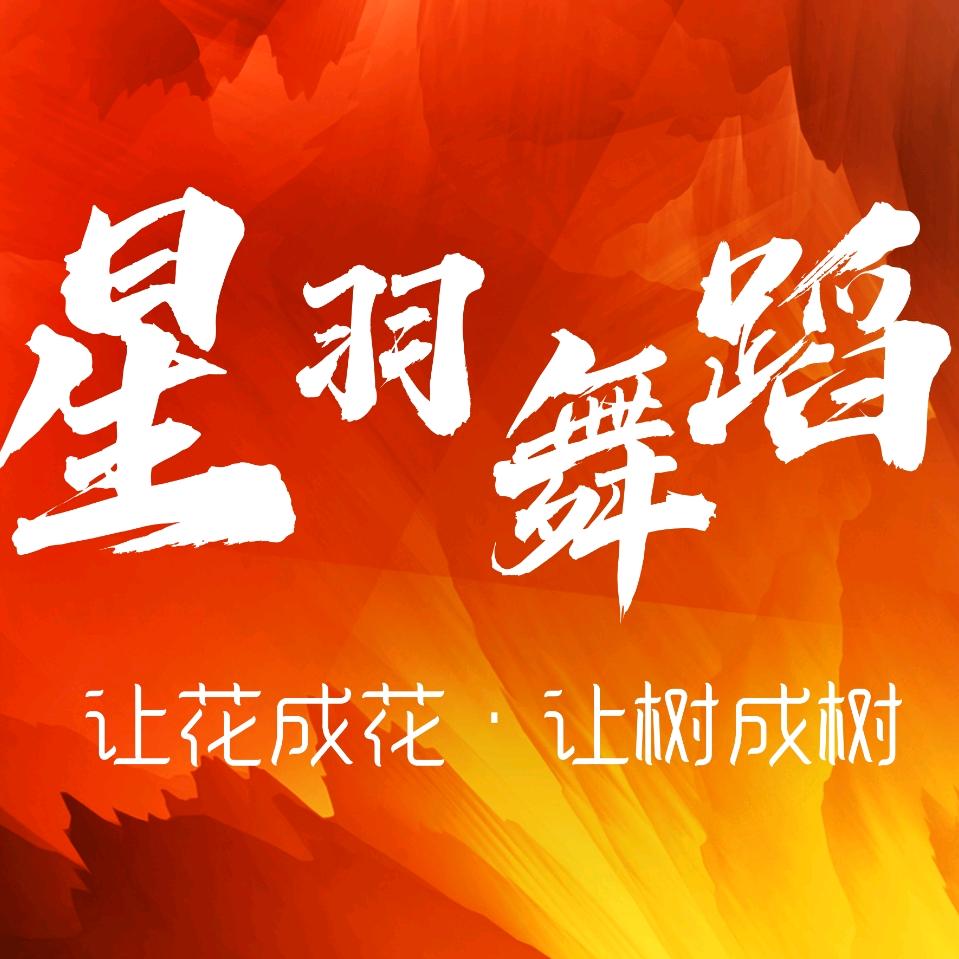 星羽舞蹈