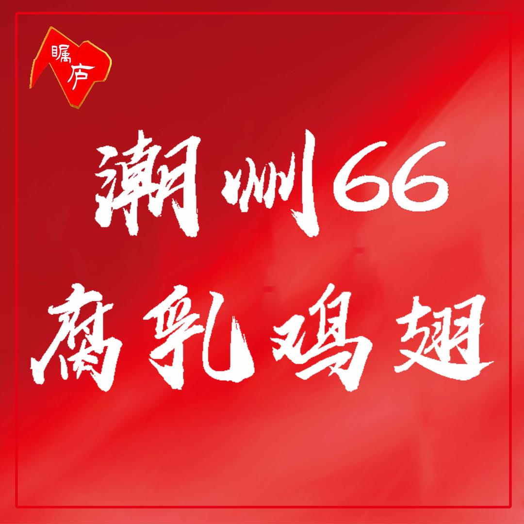 潮州66正宗腐乳鸡翅