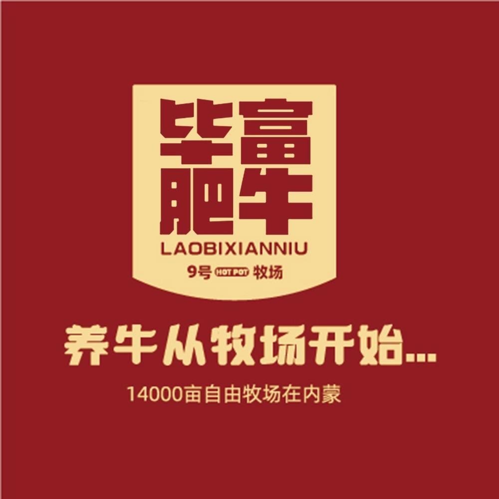 毕富肥牛火锅小号