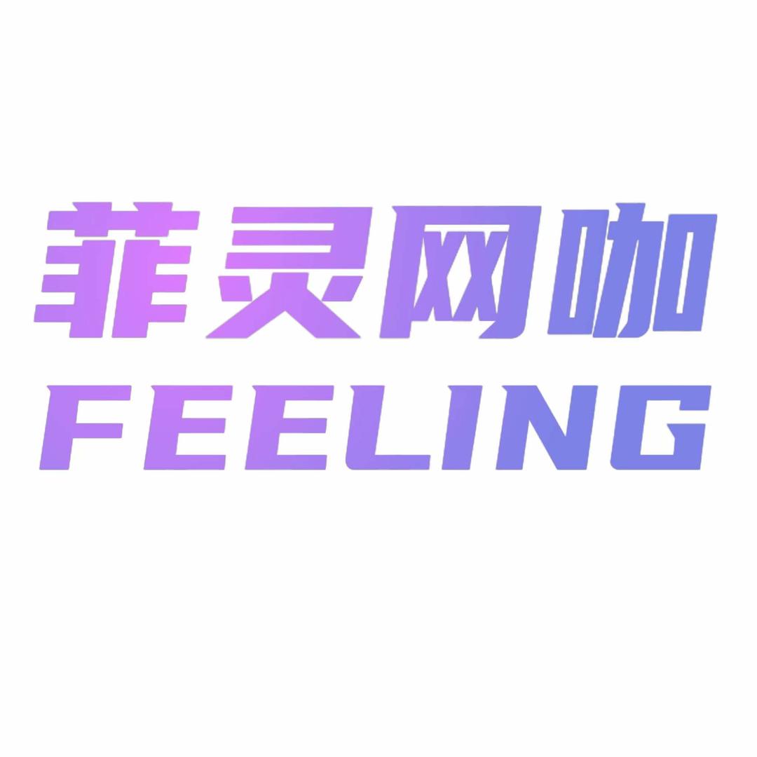 菲灵网咖(德国风情街店)武汉市菲灵空间网络有限责任公司