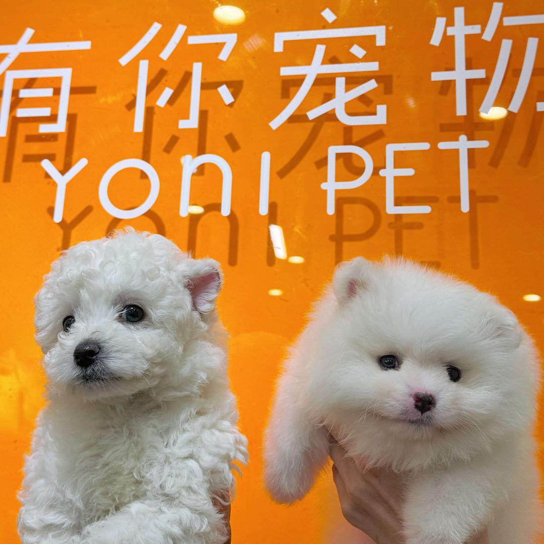 有你宠物YoniPet（雍景城店）