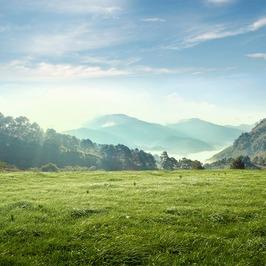 立丰超市(昌盛小区店)联露巧生活号