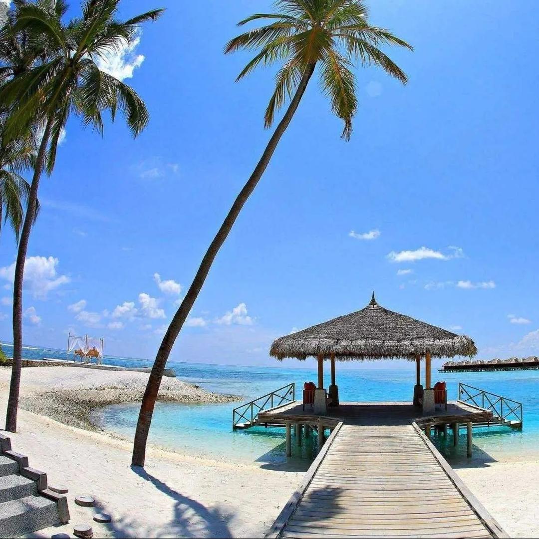 华夏云逸国际旅行社-定制师小涛