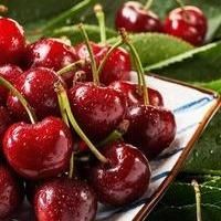 臻甜生鲜优选樱桃季
