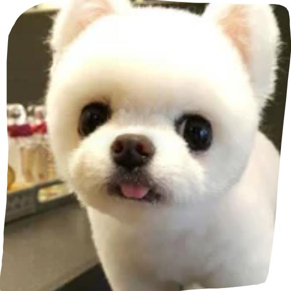 都来宠宠物生活馆