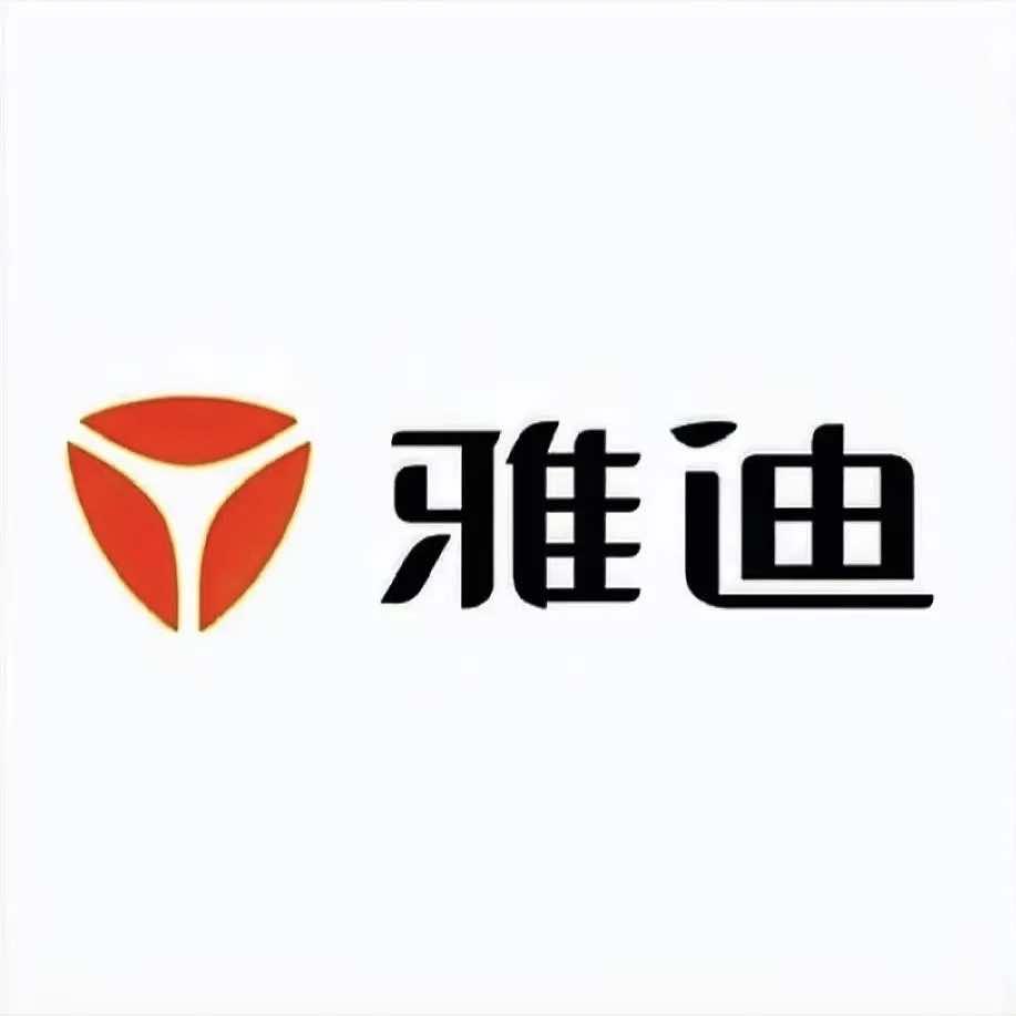 阳谷雅迪（范庄店）才超车行