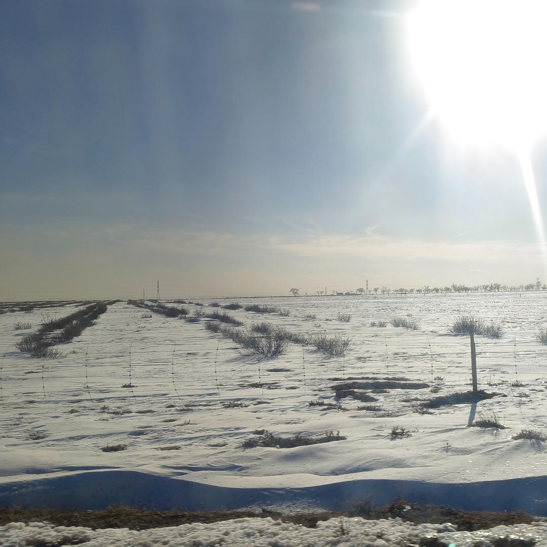 成都长升康雨直播998号