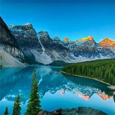 冷丰·团购多品带货好物童哥