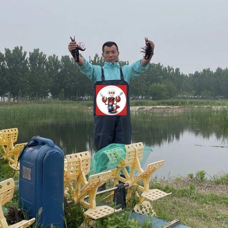 毛阿福龙虾（淮安区城西南路总店）