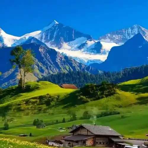 尧波阿雅百货号