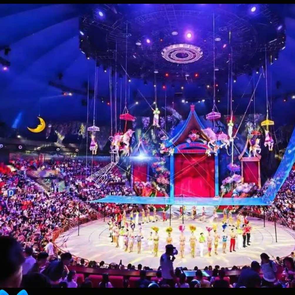 国际大马戏·创艺人官方账号