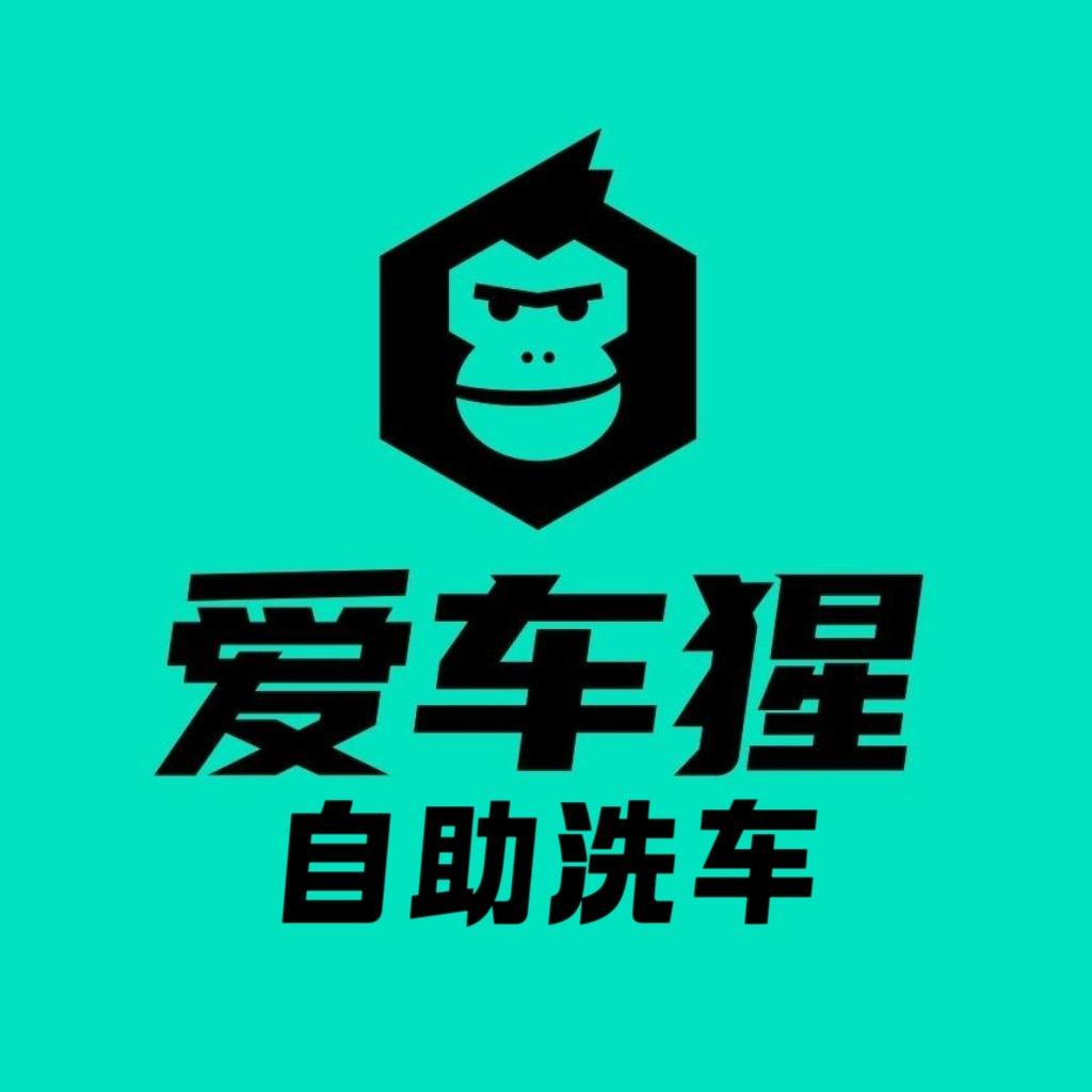 爱车猩自助智能洗车(乐亭客运站店)