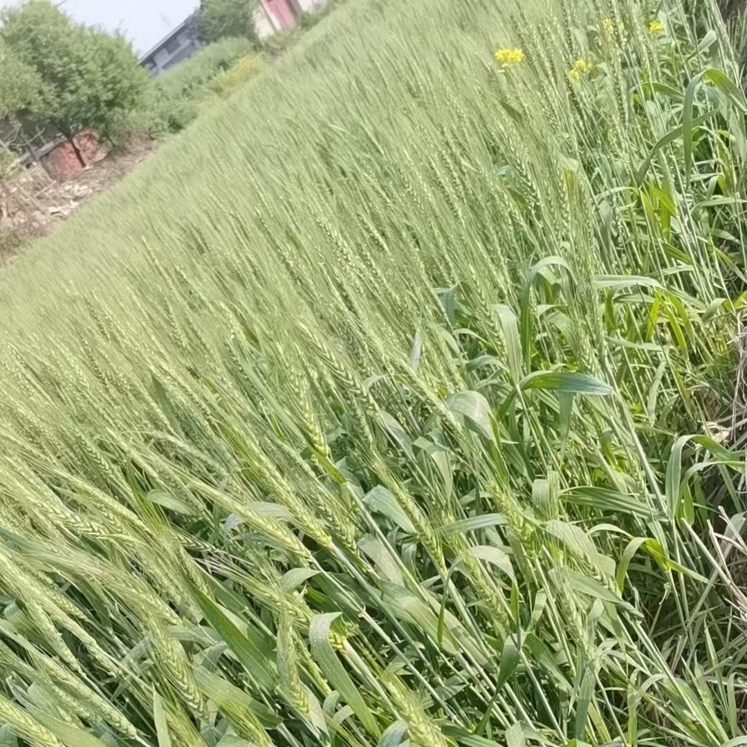 广州弓贝商贸有限公司员工号