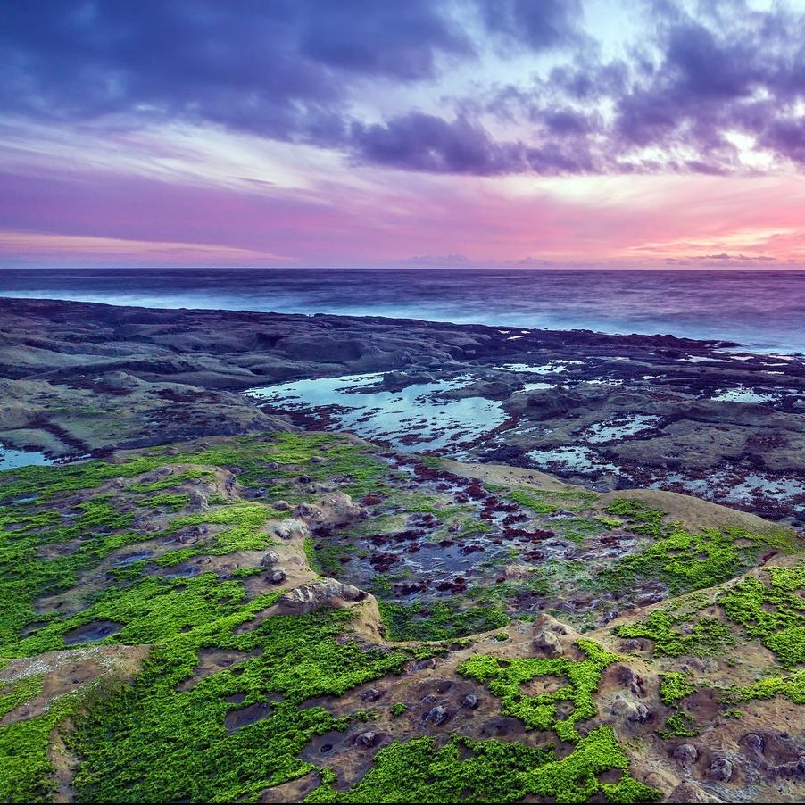 小小江的 经营号