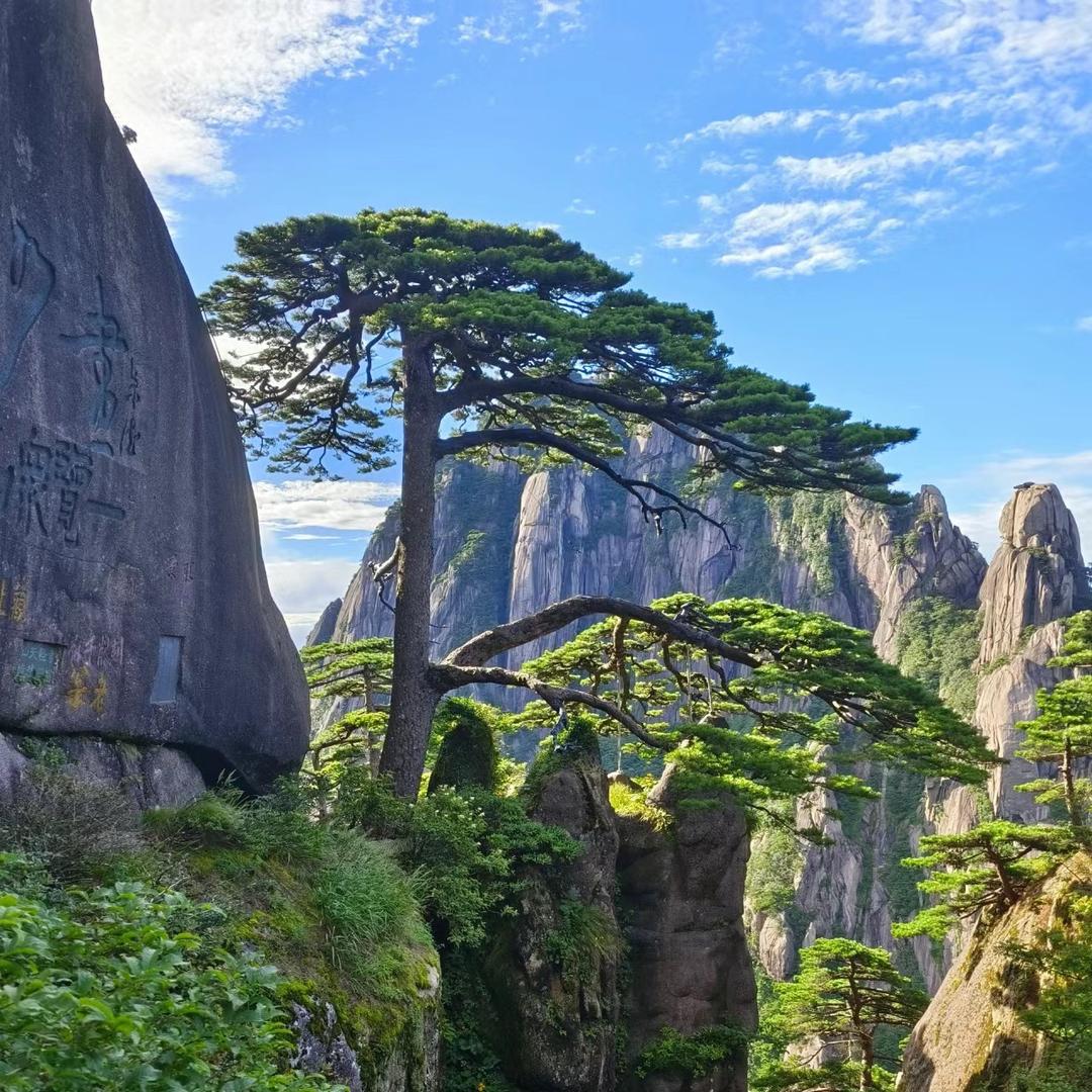 黄山金色假期旅行社