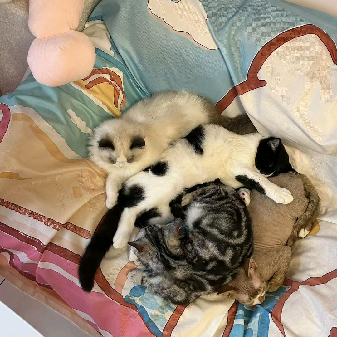 乐久休闲韦曲南店