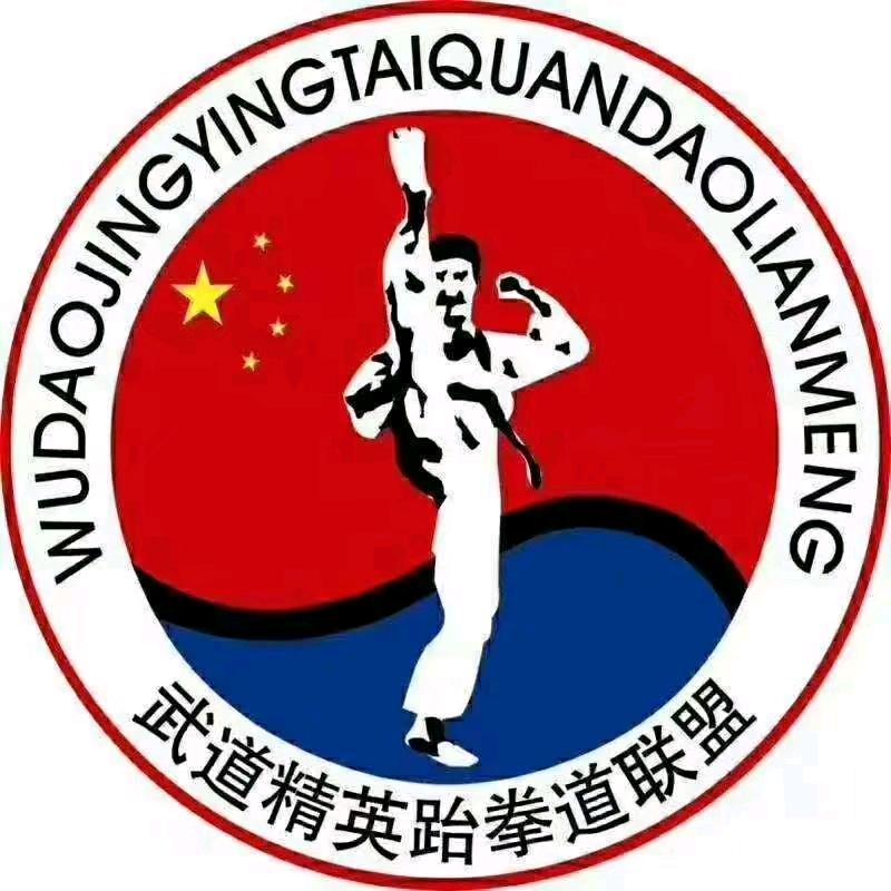 新郑武道精英搏击跆拳道