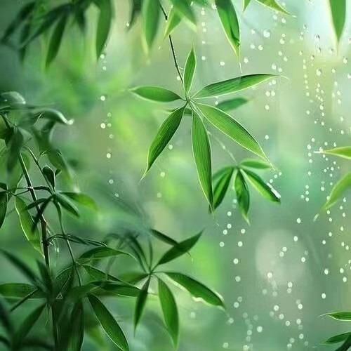 青岛睿祥通达商贸有限公司