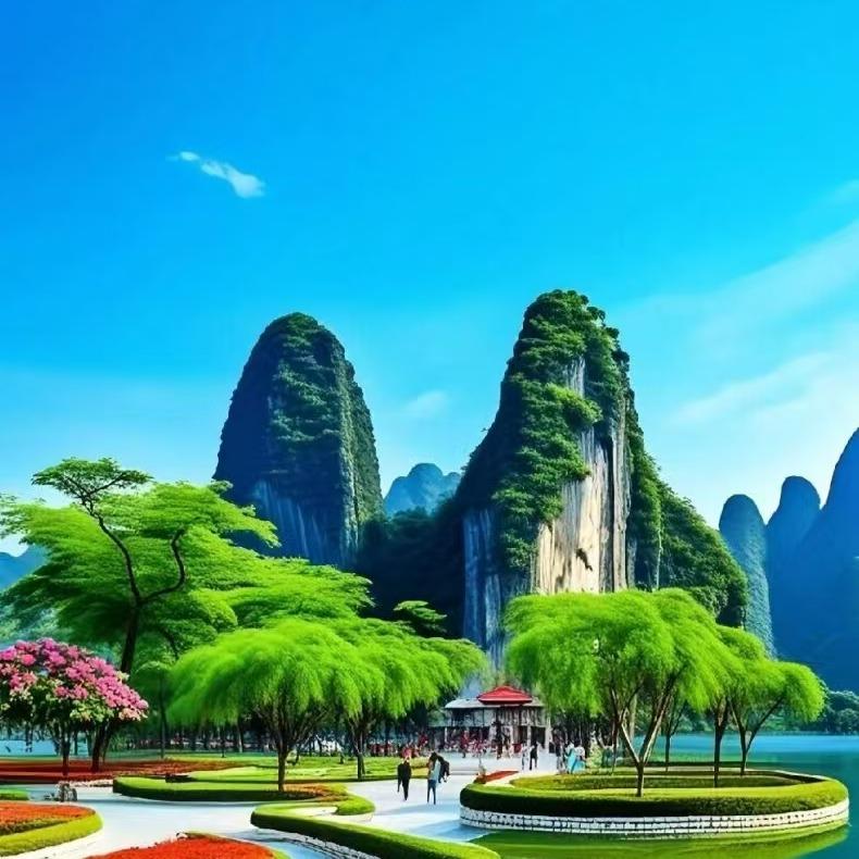 思域的直播号