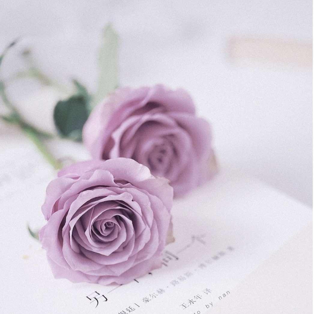 沭阳梅子熟了鲜花店