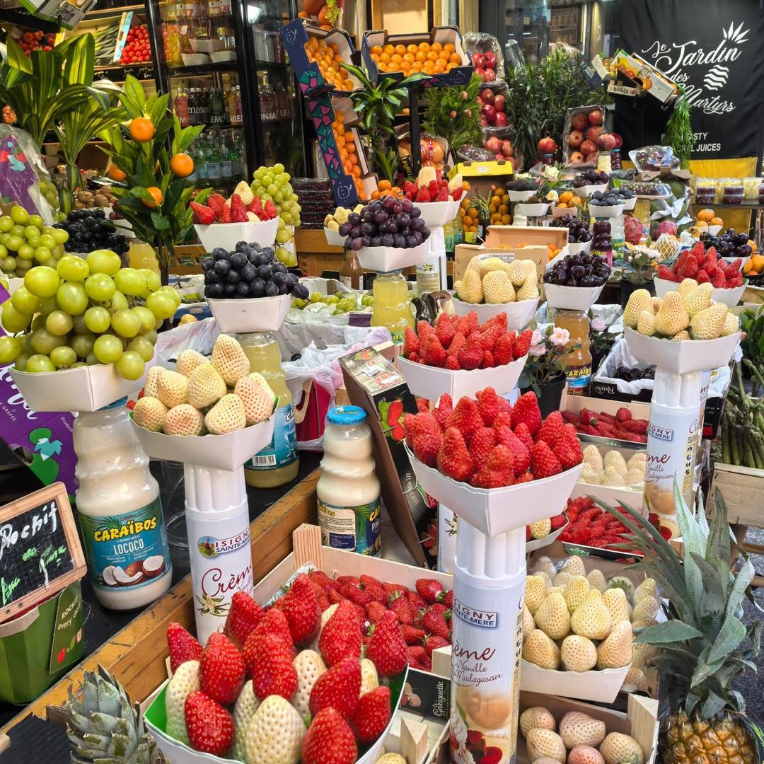 忆陵实体获客ip陪跑