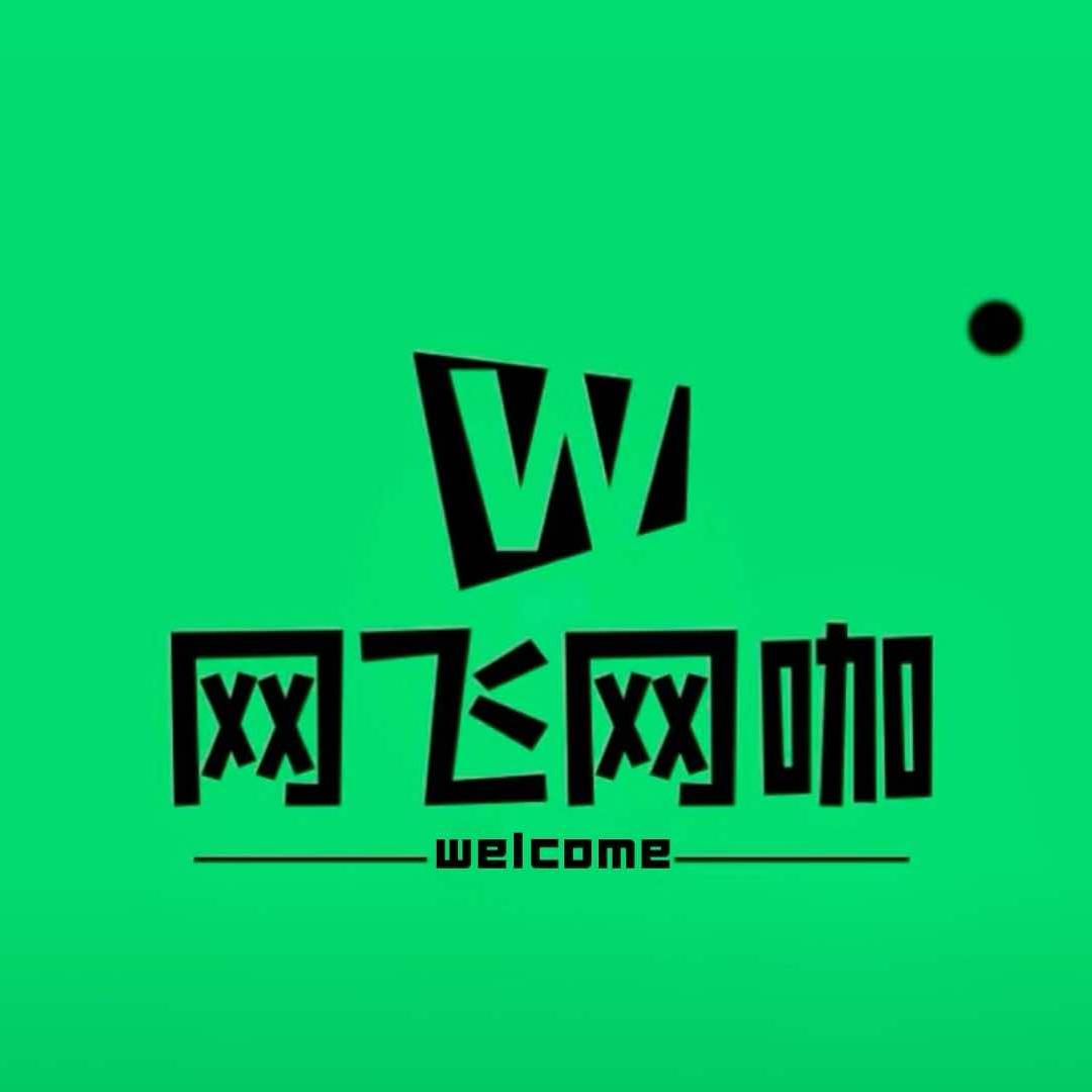 网飞网咖(新华西街店)