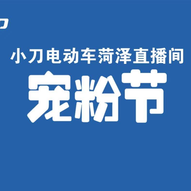 小刀电动车菏泽