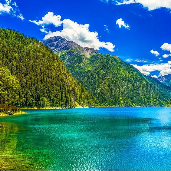 长长长长长客服号