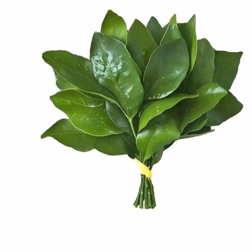 欣欣至燃爱(茶马街店)