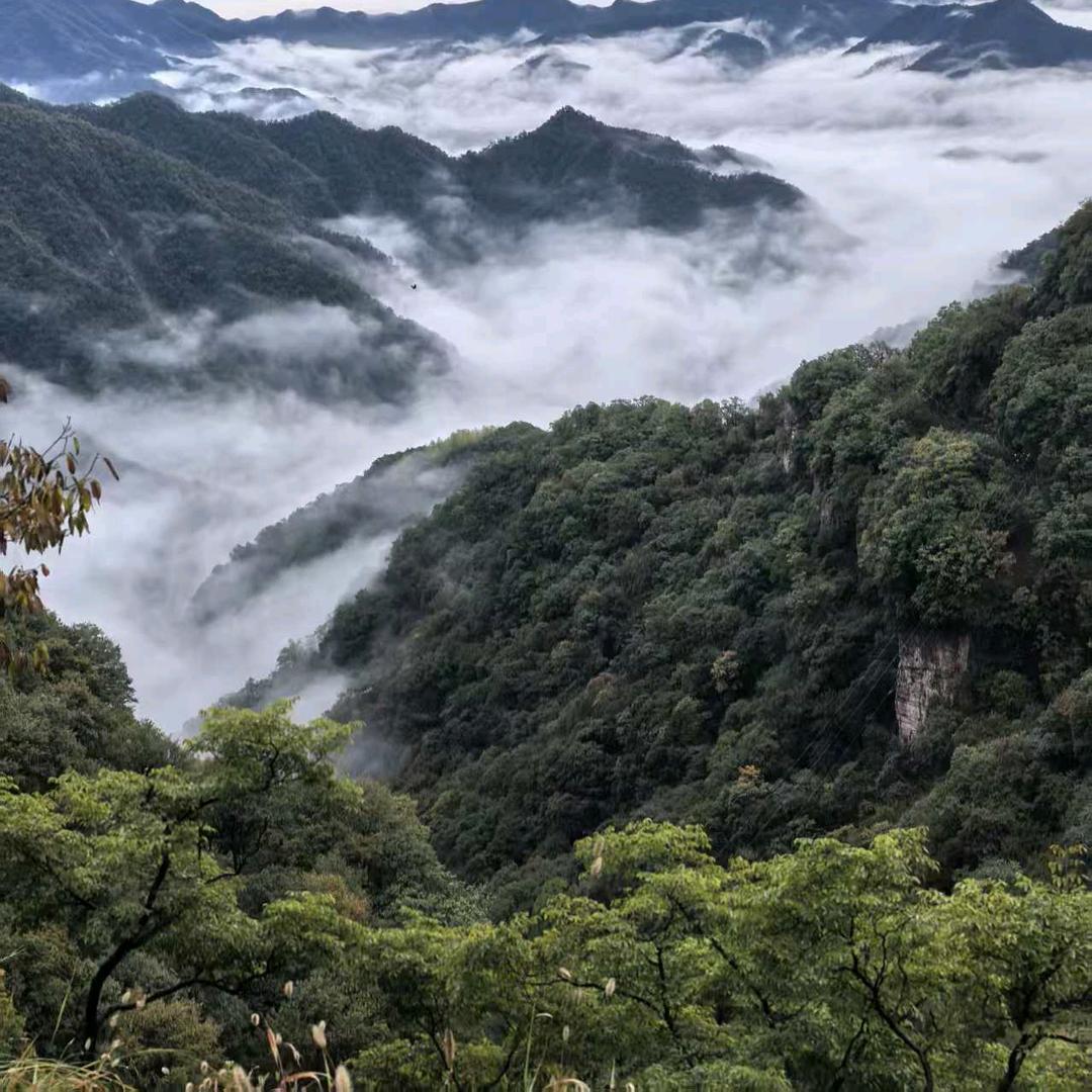 艾筋世家官方号