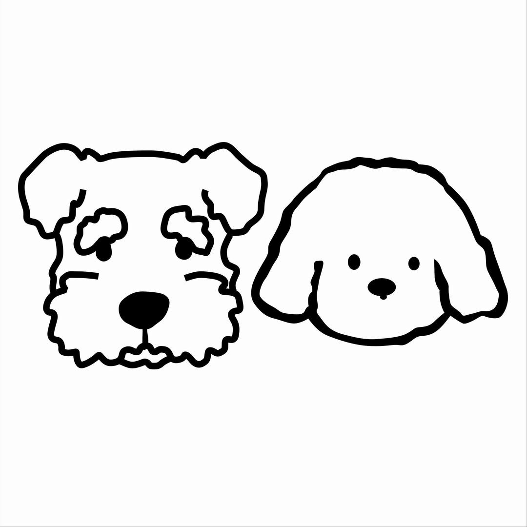 汪汪萌宠24小时寄养