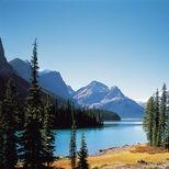 湖北省岱肖互联网工作室