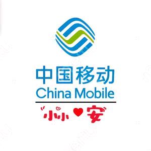 中国移动铜仁金锋通讯小小安