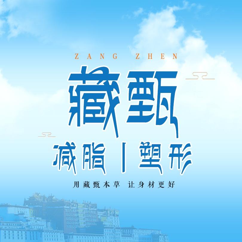 藏甄减脂塑形(尚景店)