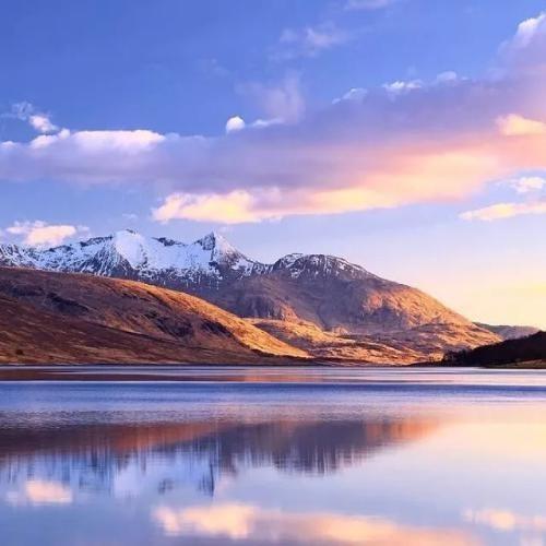 惠佳百货王师傅直播号