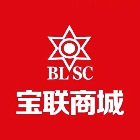 宝联商城宁津店