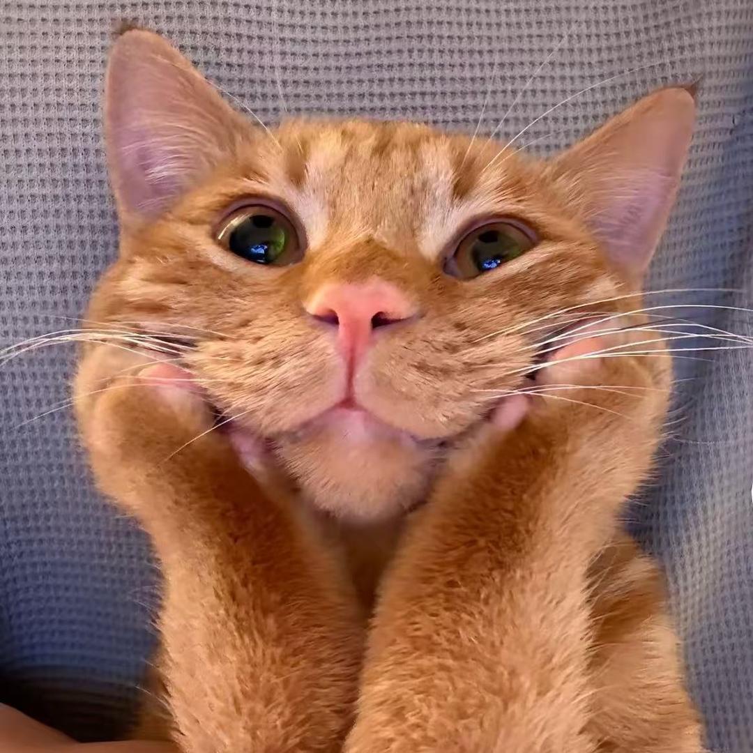 顺风车好单-黄潭俊