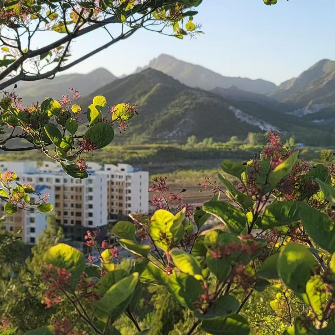 振跃|全知丽直播号