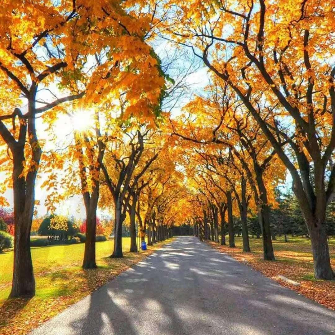 一路向东直播号