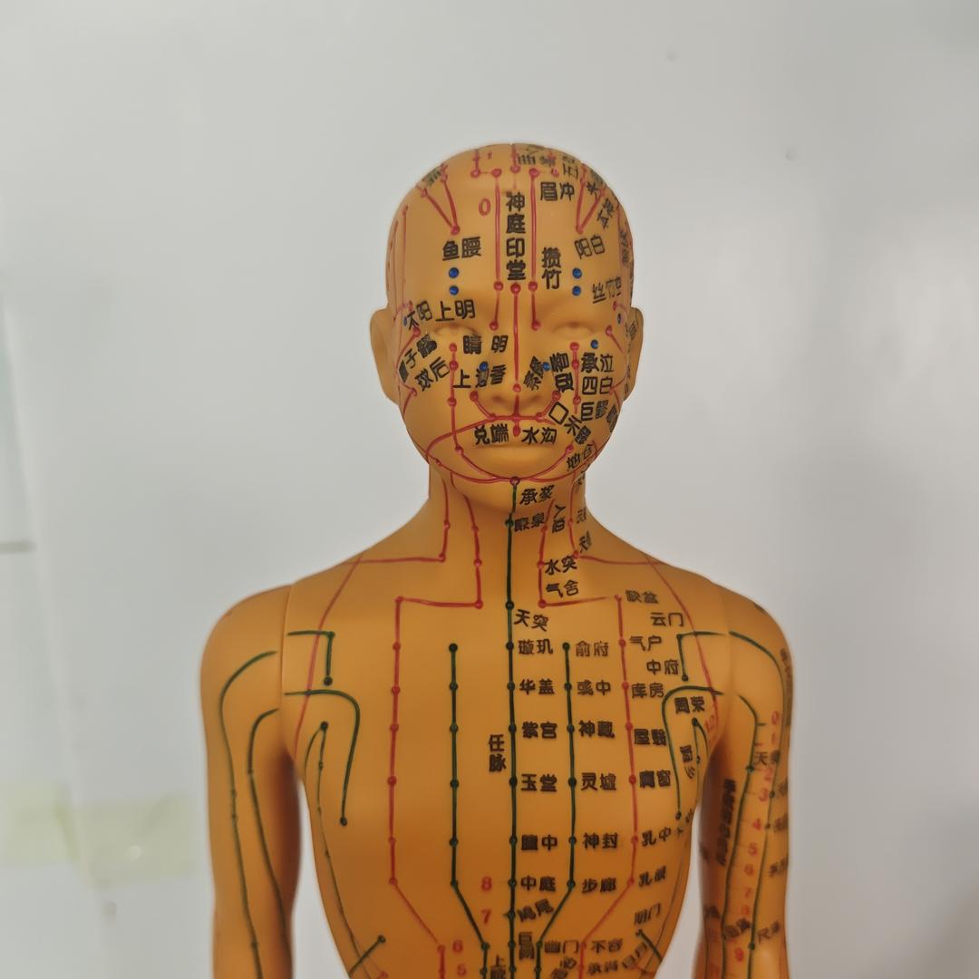 刘御手--李老师