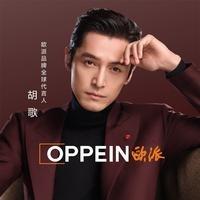 欧派整家定制