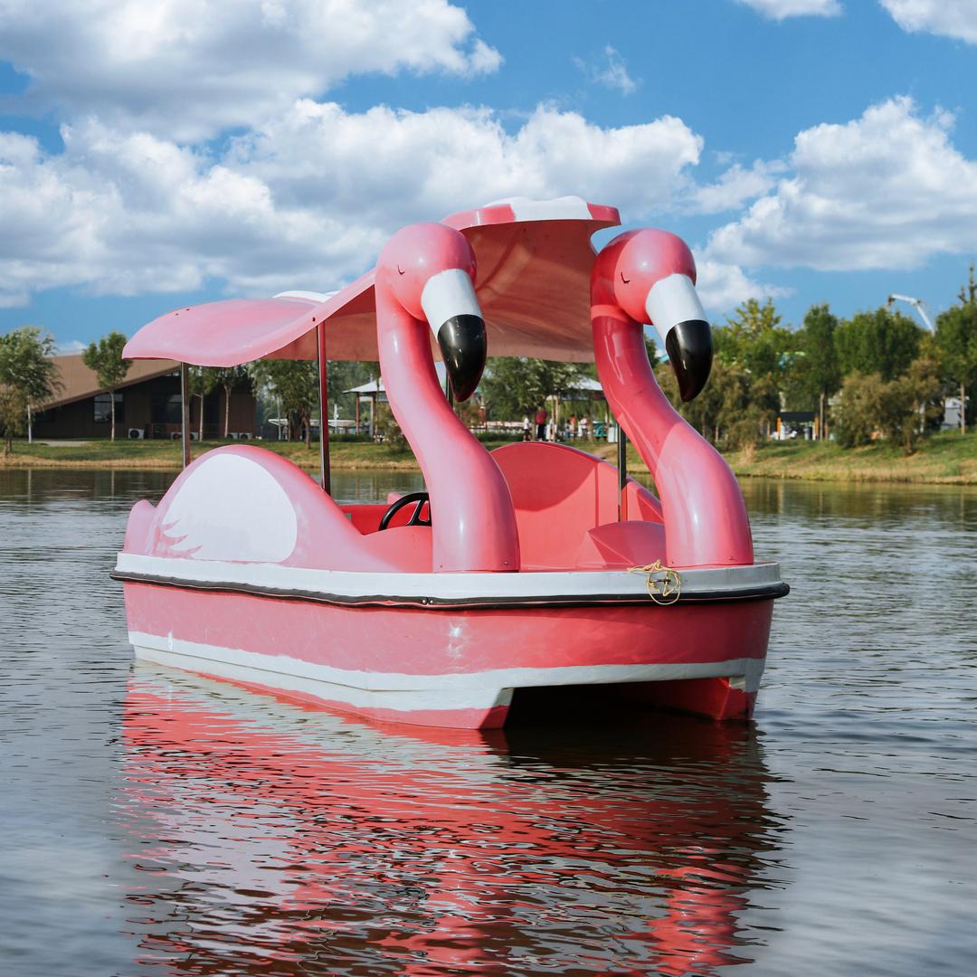 衡水湖荷花园游船码头