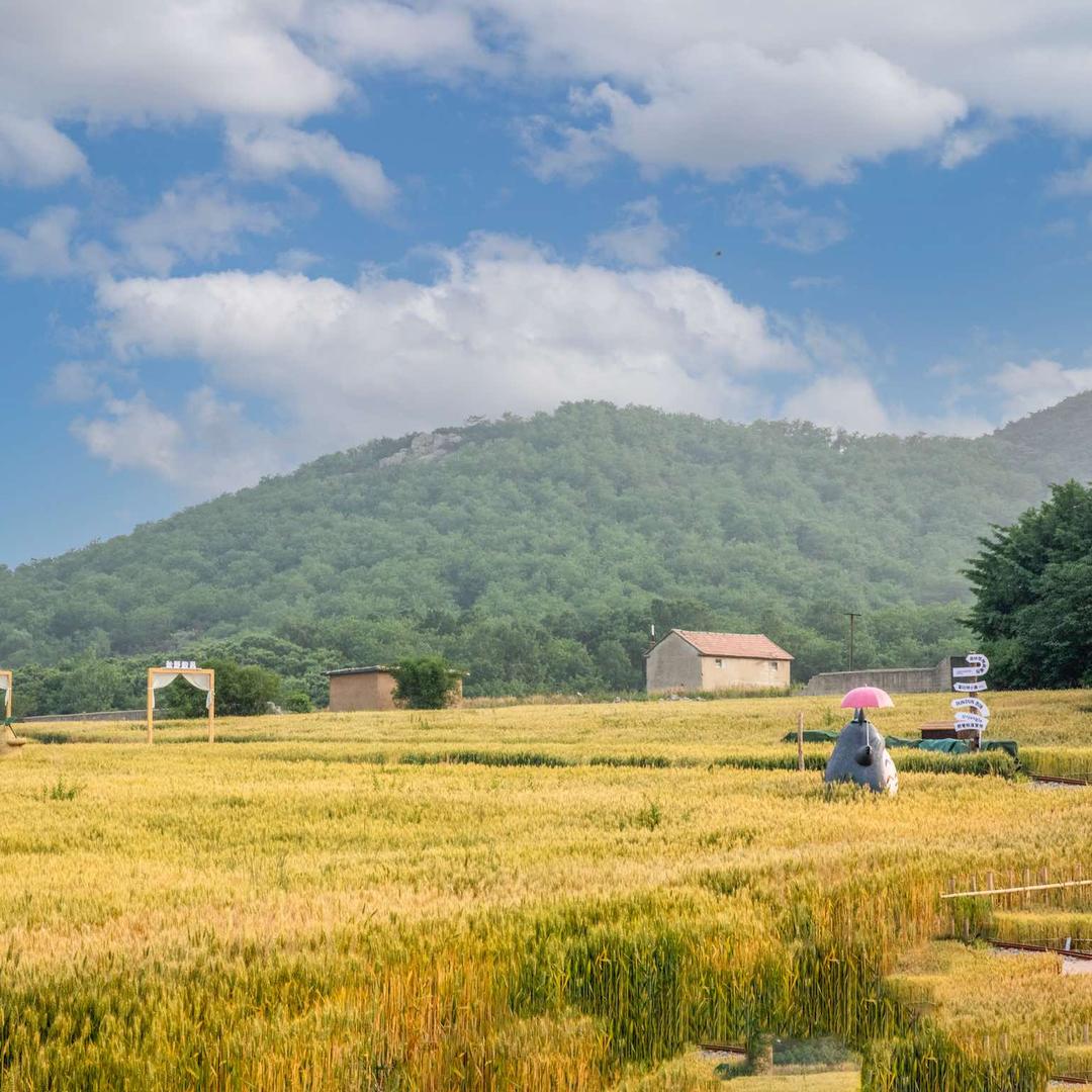 日照驻龙山风景区