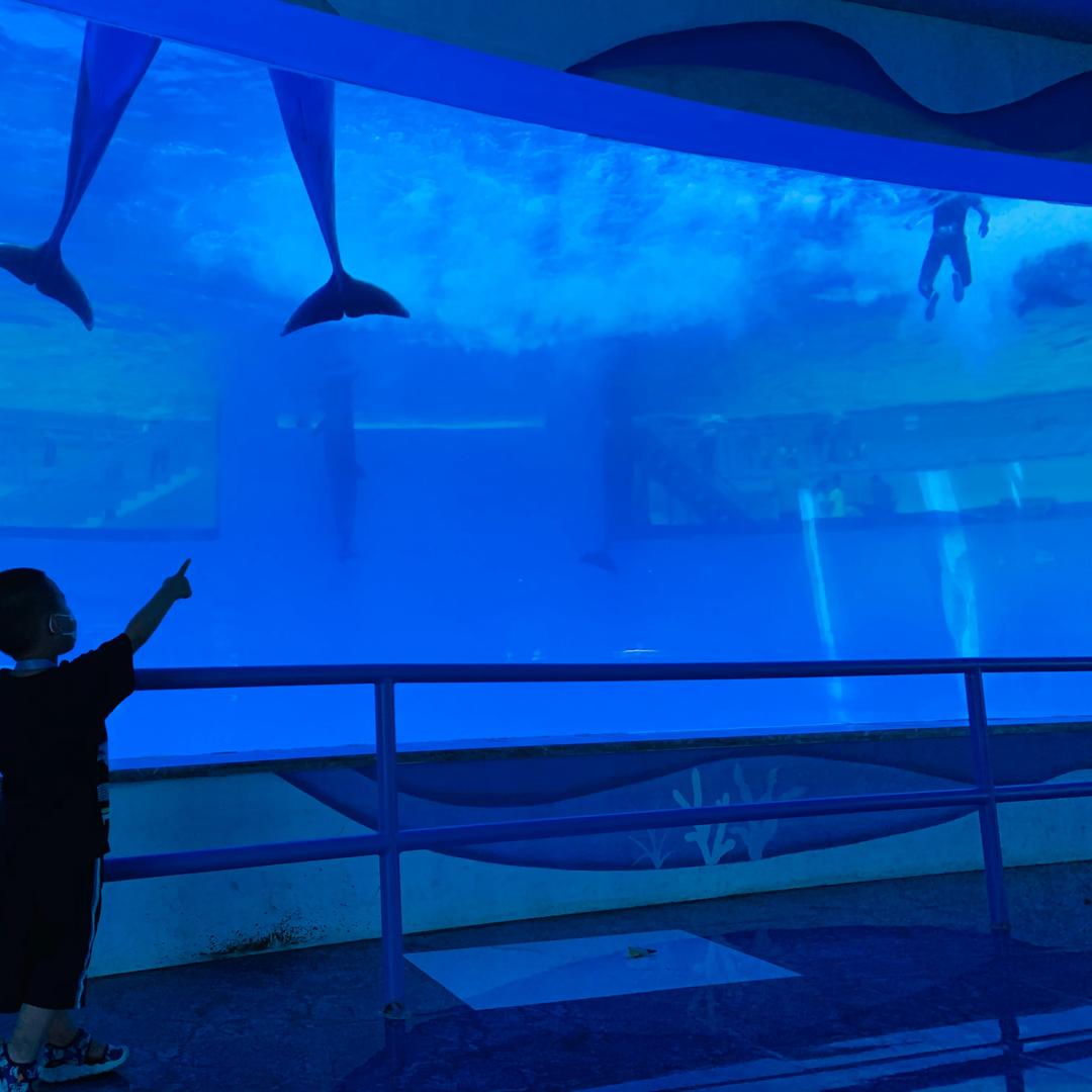 金沐万象万事百货号